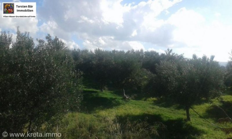 Vori Kreta, Vori Olivenhain 200.000m² mit 2 Gebäuden zu verkaufen Grundstück kaufen